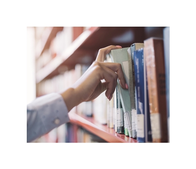 Mid-sized publishers provide broader distribution including bookstores and retailers.