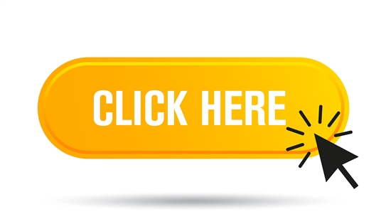 Authors should monitor their open and click-through rates when they send an email newsletter.