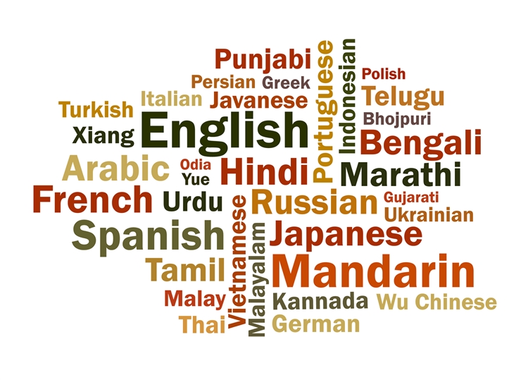 There are thousands of languages spoken throughout the world with English, Mandarin, Hindi, and Spanish at the top.